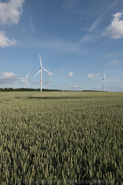 Les Vents d'Arpes, Ventis s.a., Vent+ asbl
parc éolien à Nivelles